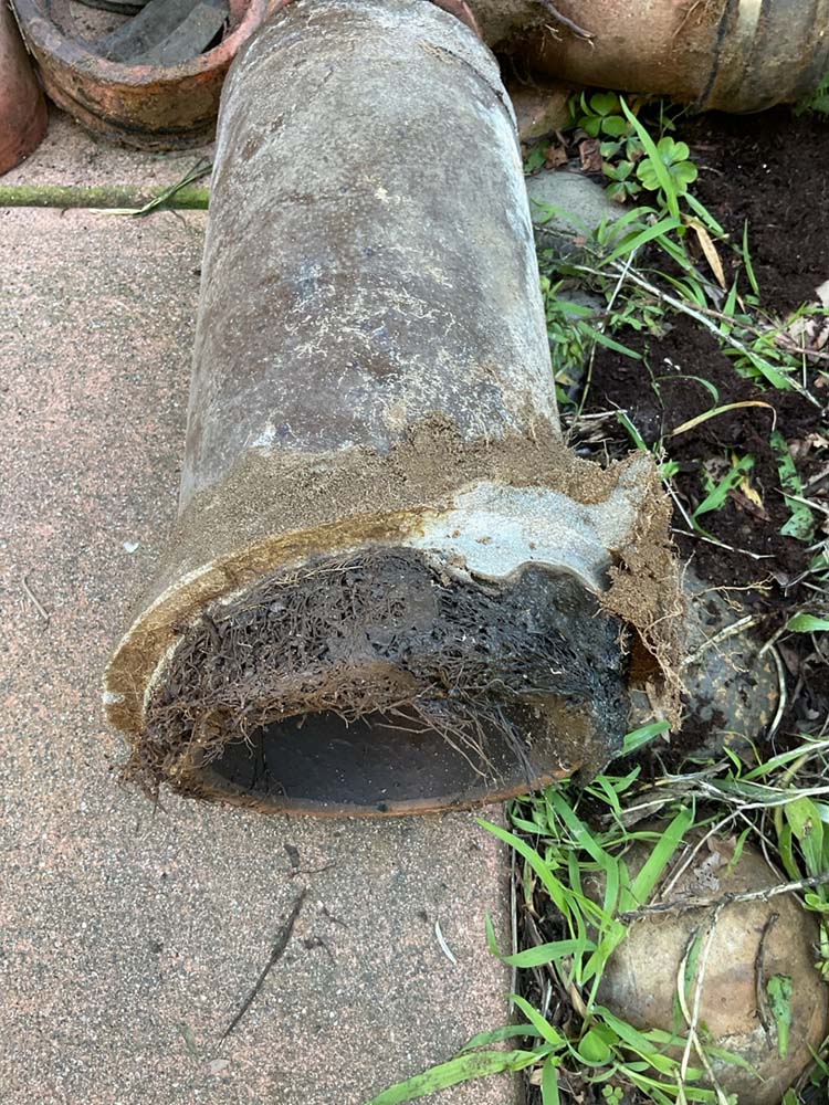 cabrillo plumbing drain cleaning clay pipe tree roots san mateo ca 24e5d6e9 f34b 4fc7 ab0b fa80739cf1ed