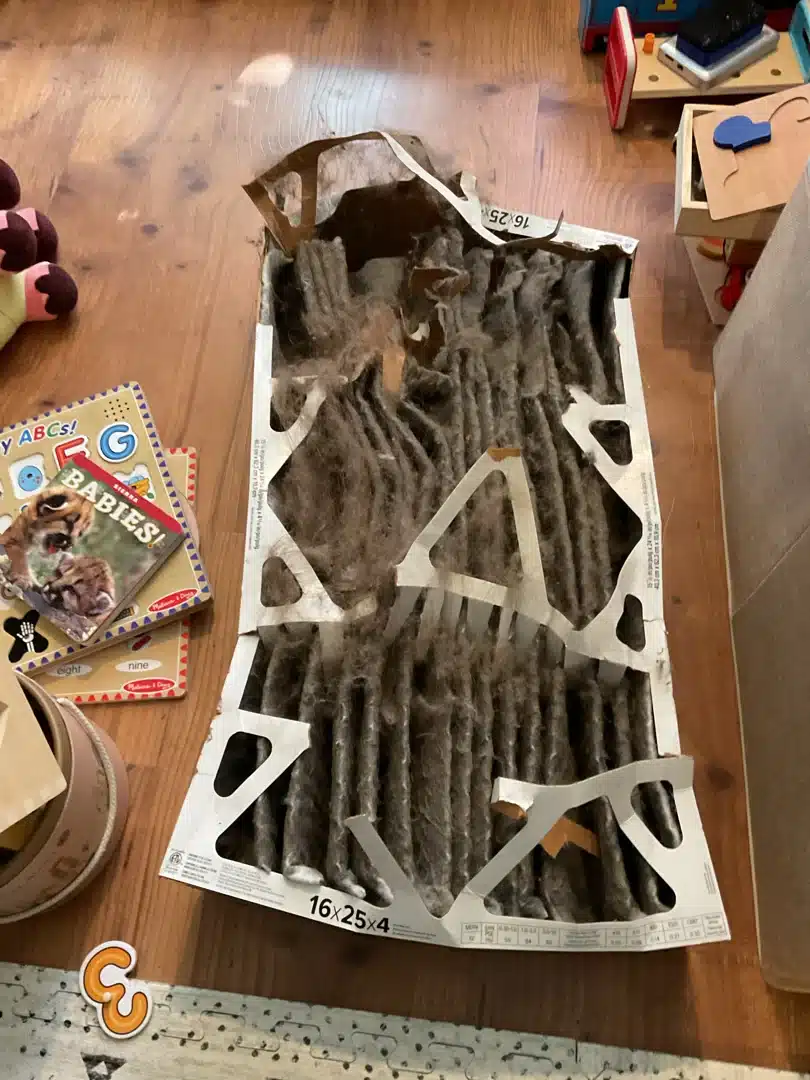 spring air filter replacement guide clean HVAC filter home